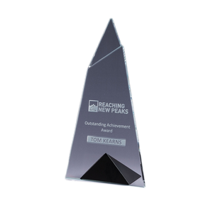 Skyward Crystal Award