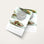 8.5x11 Flyers