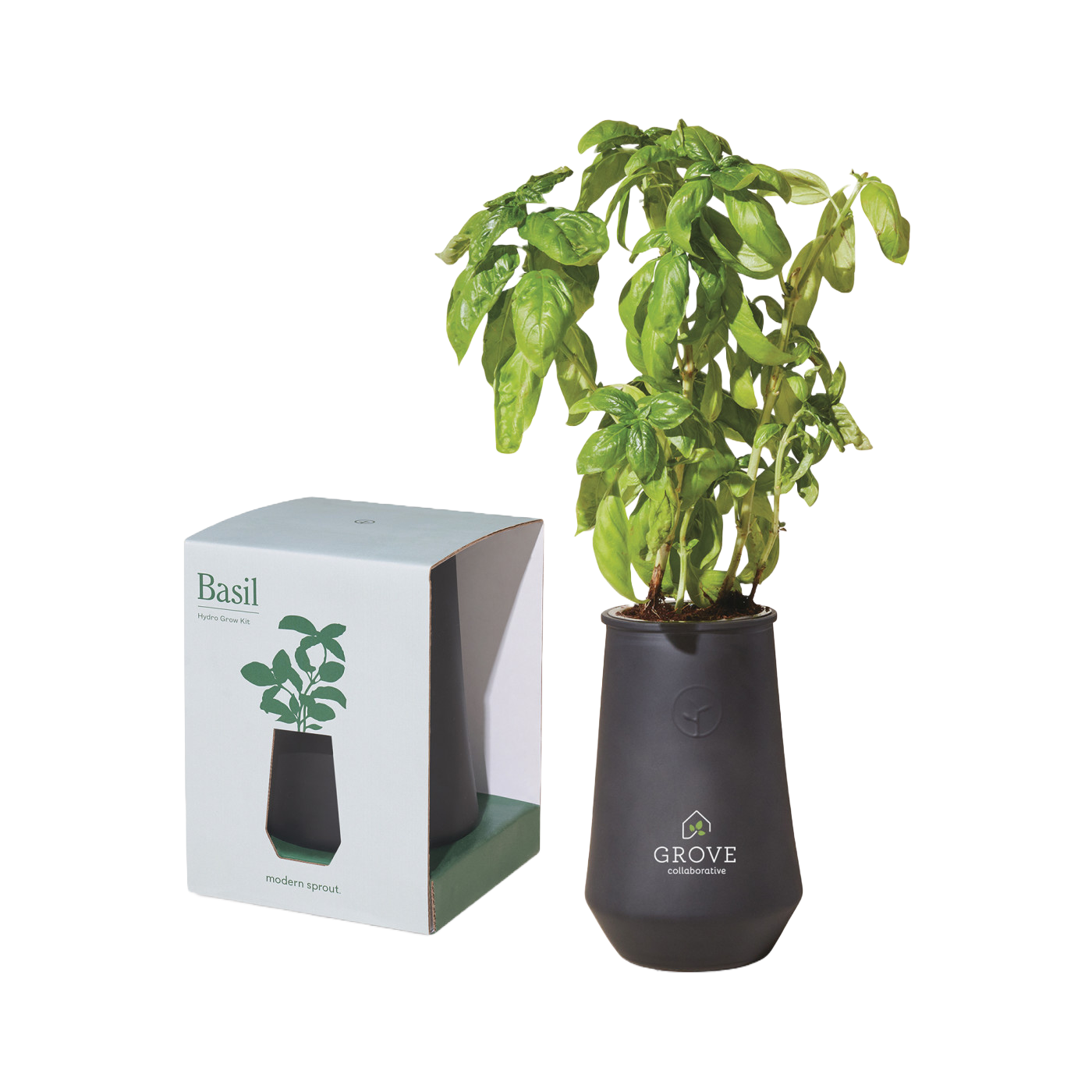 Modern Sprout Tapered Tumbler Grow Kit
