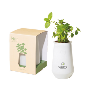 Modern Sprout Tapered Tumbler Grow Kit